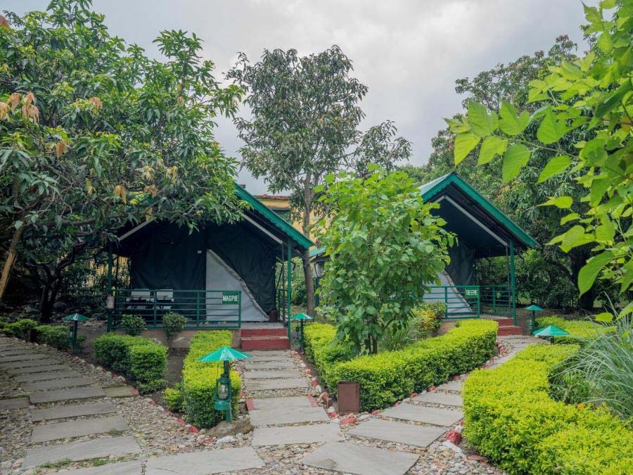 Corbett Nature Reserve Ramnagar